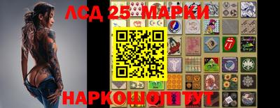 PSILOCYBIN Малоярославец