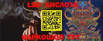 PSILOCYBIN Малоярославец