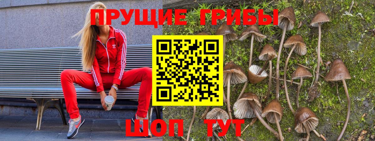 Галлюциногенные грибы Magic Shrooms  Вход с VPN  даркнет сайт  Топки 