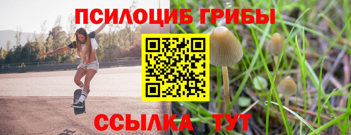 Галлюциногенные грибы Cubensis Топки